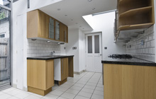 Netherland Green kitchen extension leads